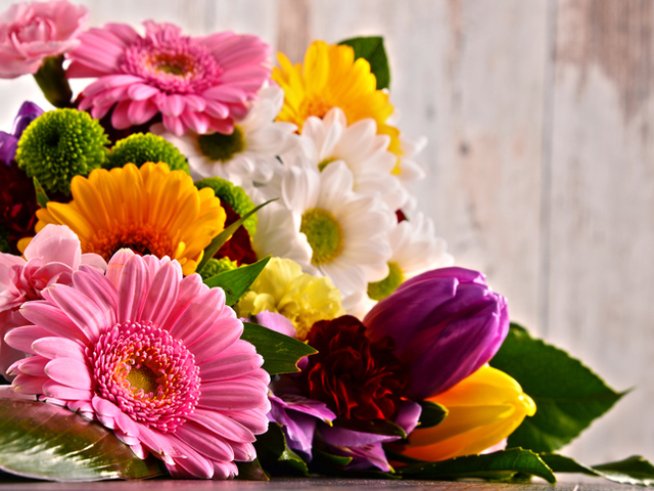 Снимка: istock