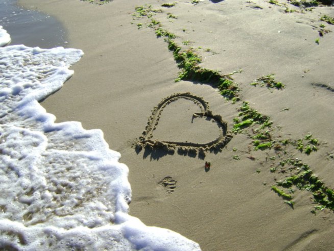 Снимка: freeimages