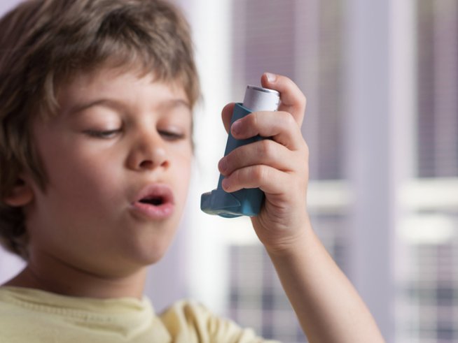 Снимка: istock