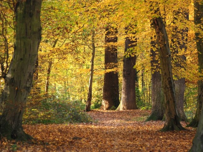 Снимка: Sxc.hu