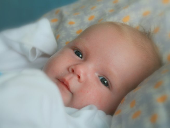 Снимка: Sxc.hu