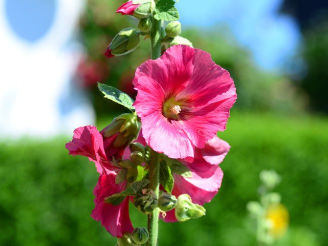 Снимка: Sxc.hu