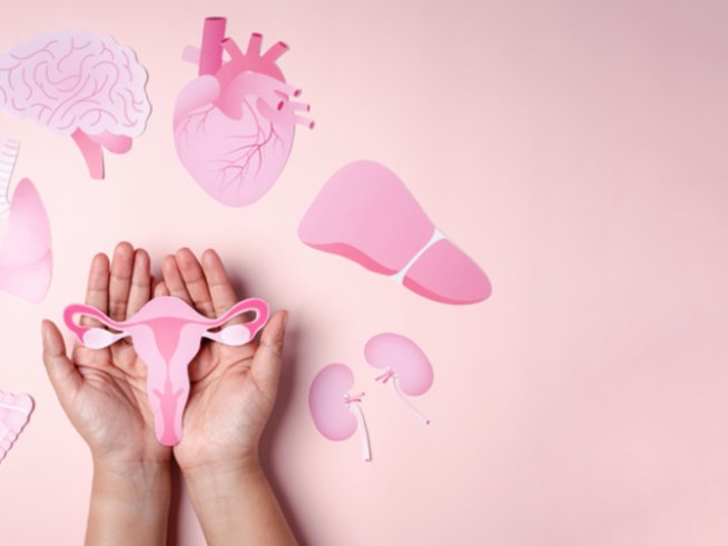 Снимка: istock