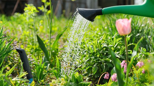 Снимка: Envato.