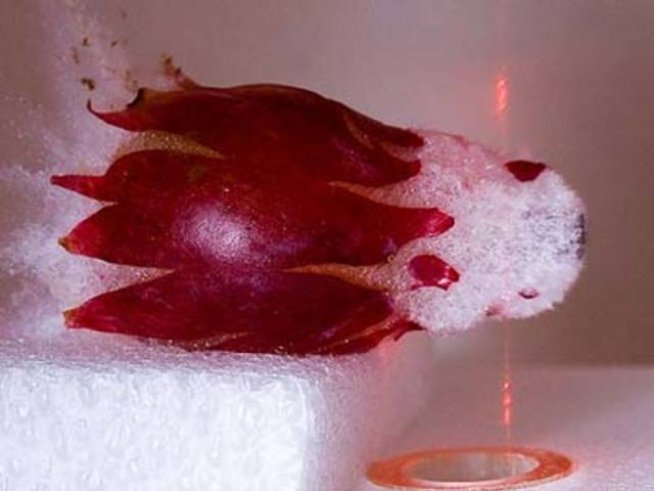 Снимка: pixcooler.com