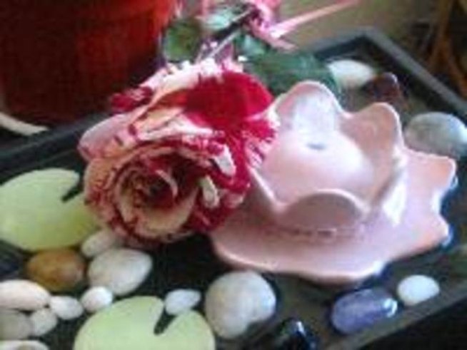 Животворната сила на цветята и фъншуй