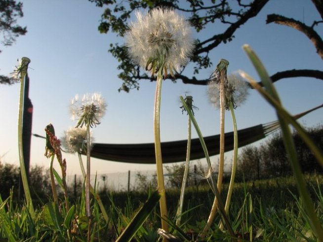 Снимка: Sxc.hu