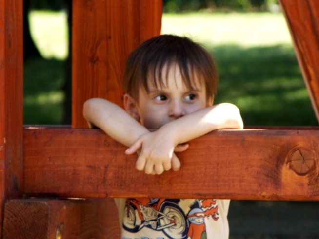 Снимка: Sxc.hu