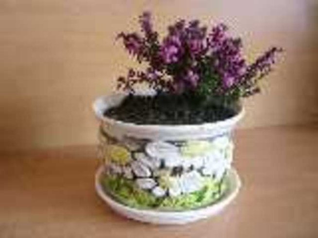 Ерика - гроздове от съцветия