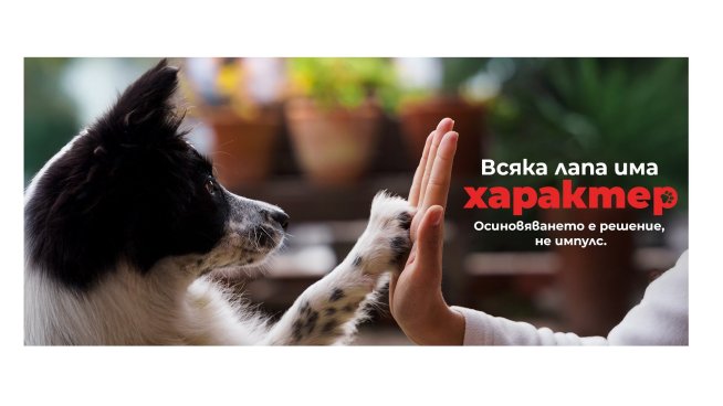 Стартира кампанията &bdquo;Всяка лапа има характер&ldquo; за повече успешни осиновявания в България