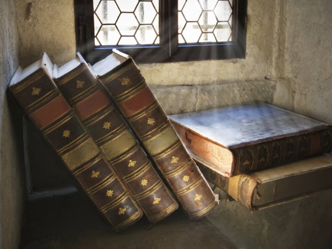 Снимка: istock