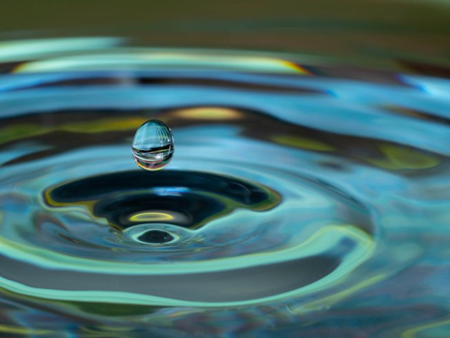 Снимка: istock