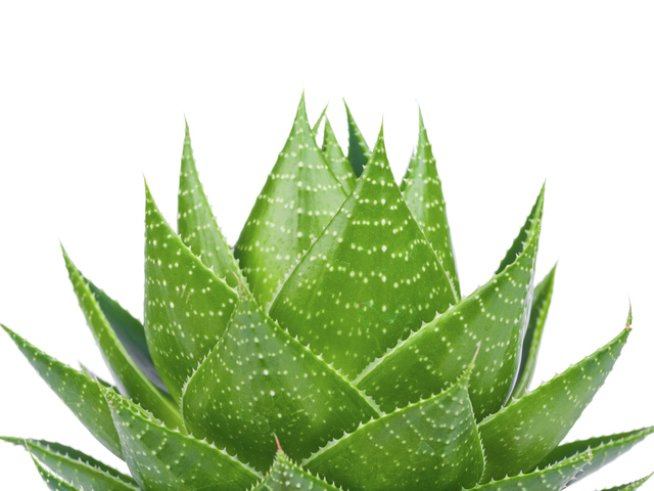 Снимка: Thinkstock