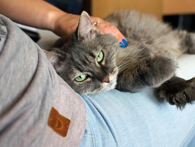 снимка: pixabay