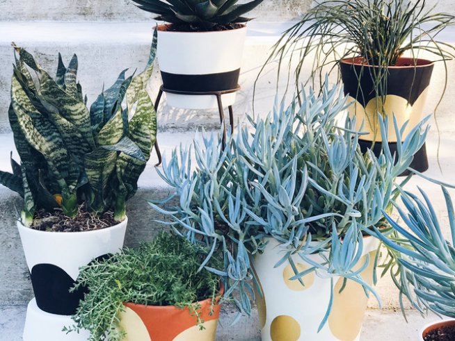 Снимка: honestlywtf