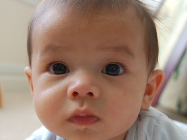 Снимка: Sxc.hu