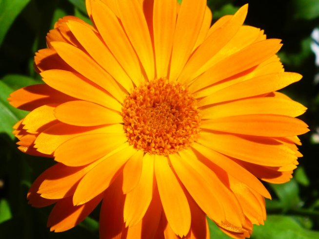 Снимка: Sxc.hu