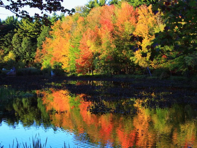 Снимка: Sxc.hu