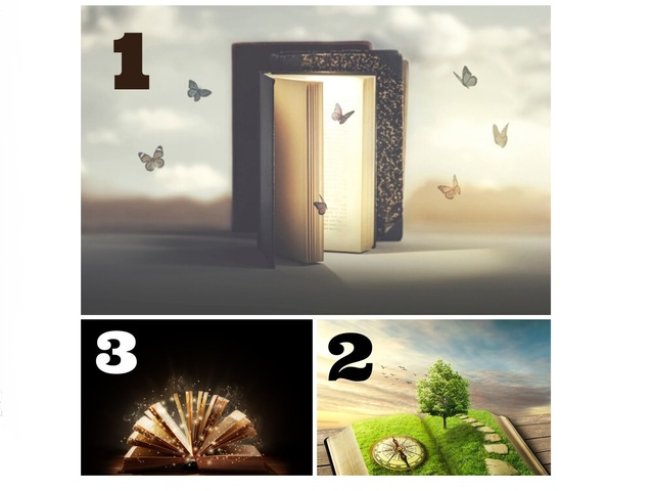 Снимки: istock