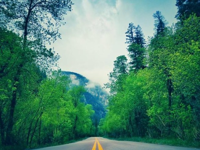 Снимка: pexels