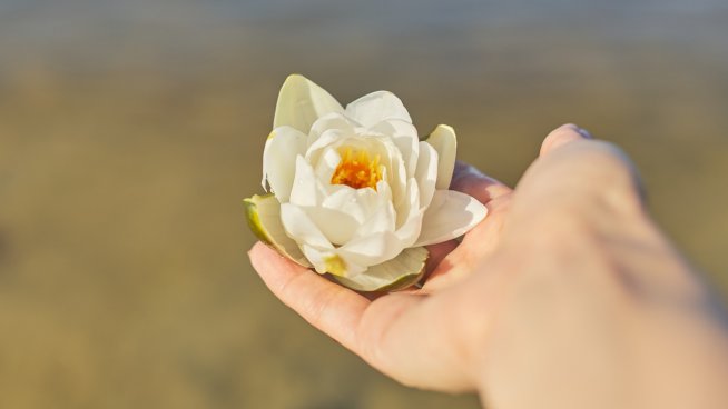 Снимка: istock