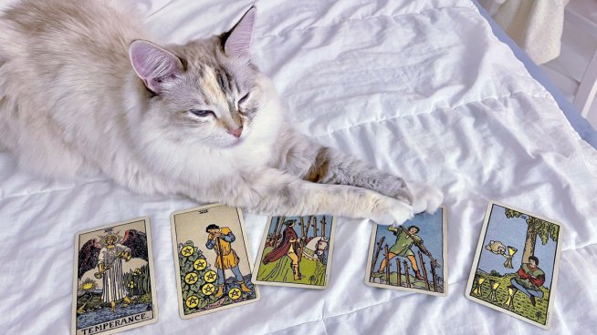 Таро хороскоп за 15-16 март. Снимка: istock