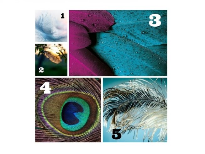 Снимка: pexels; pixabay