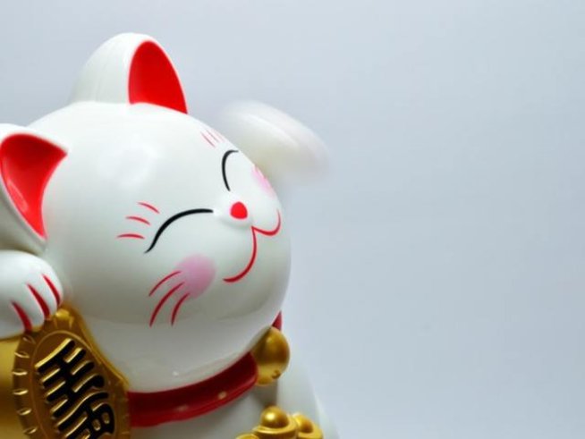 Снимка: pexels