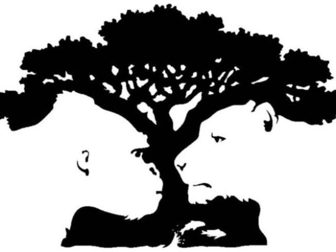 Кой образ видяхте първо на картината?