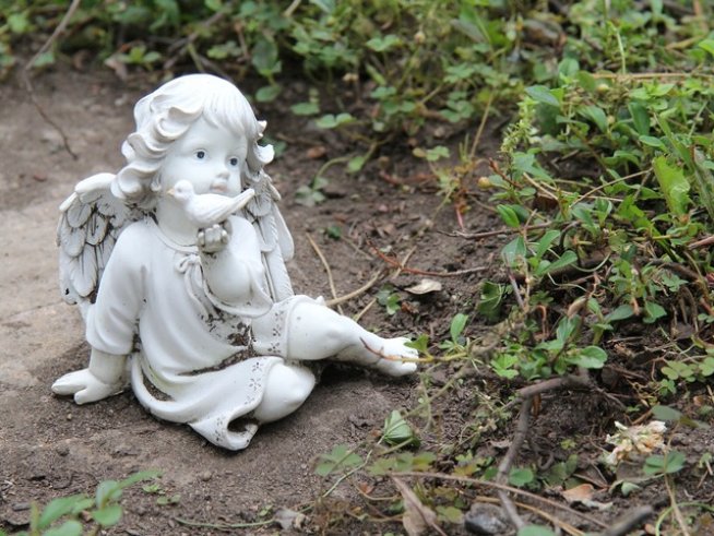 Снимка: istock