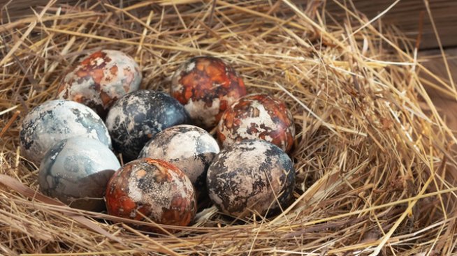 Снимка: istock