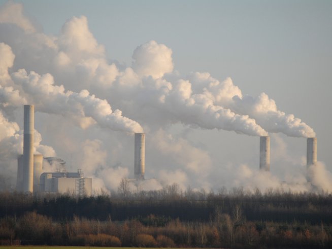 Снимка: istock