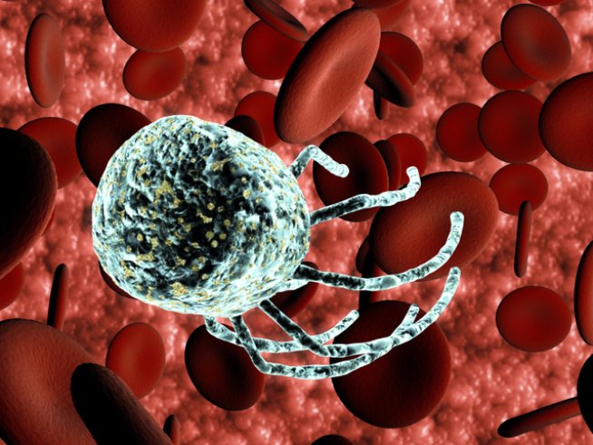 Снимка: iStock