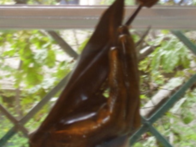 Време е за милосърдие