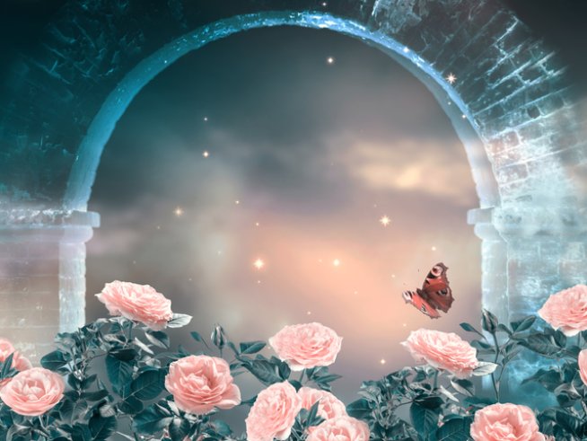 Снимка: istock