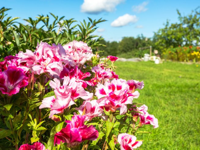 Снимка: istock