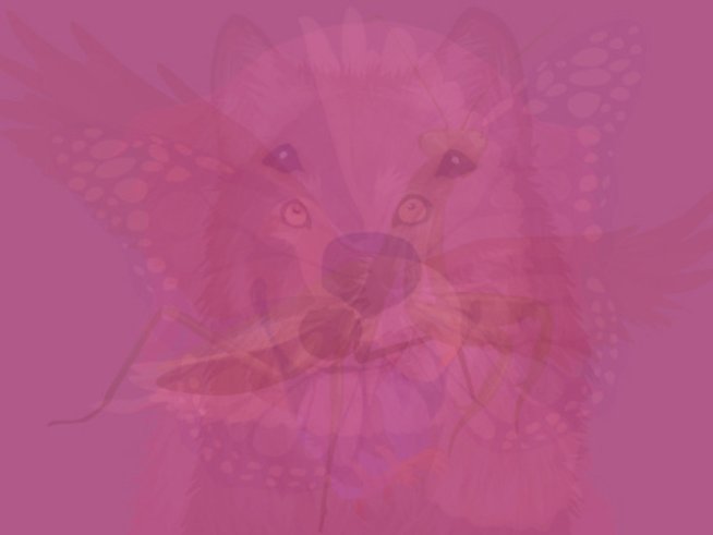 Снимка: zvez-dec.ru