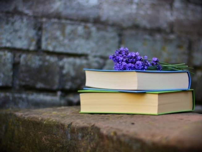 Снимка: pixabay