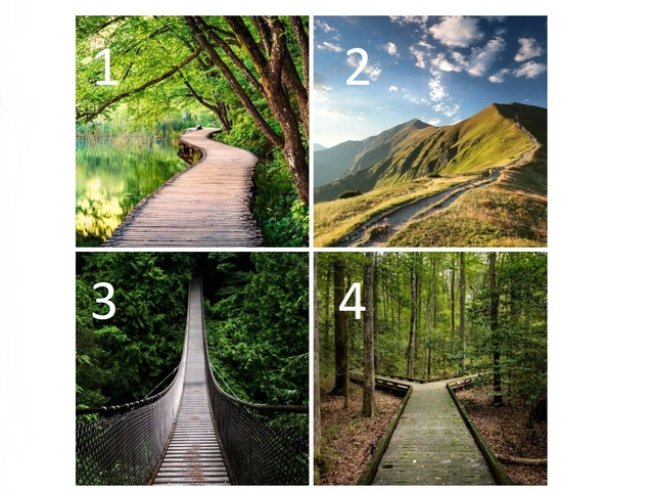 Снимки: istock