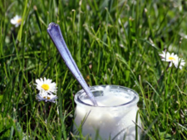 При лош дъх – кисело мляко