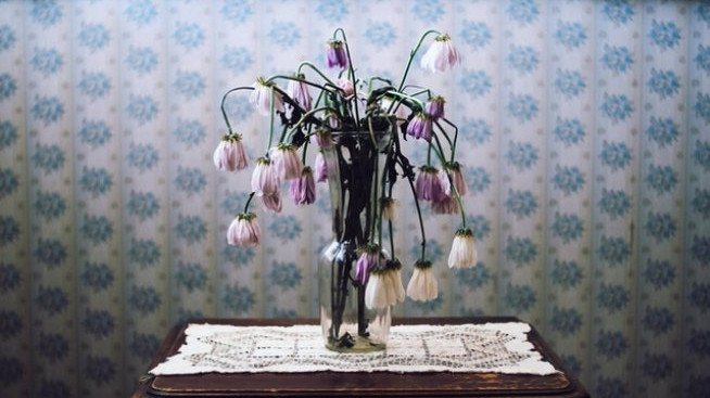 Снимка: iStock