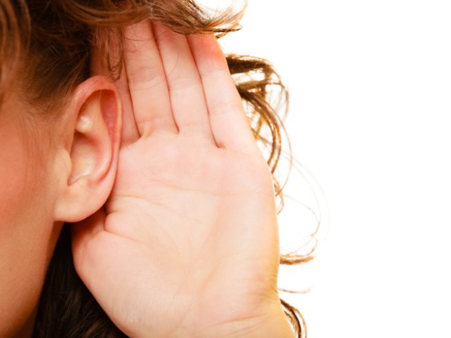 Снимка: iStock