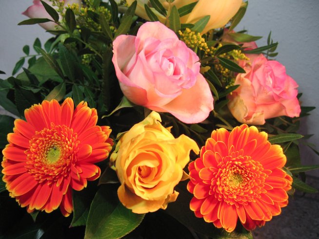 Снимка: shc.hu