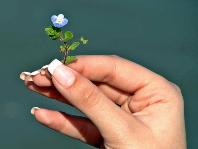 Снимка: shc.hu