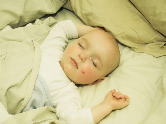 Снимка: shc.hu