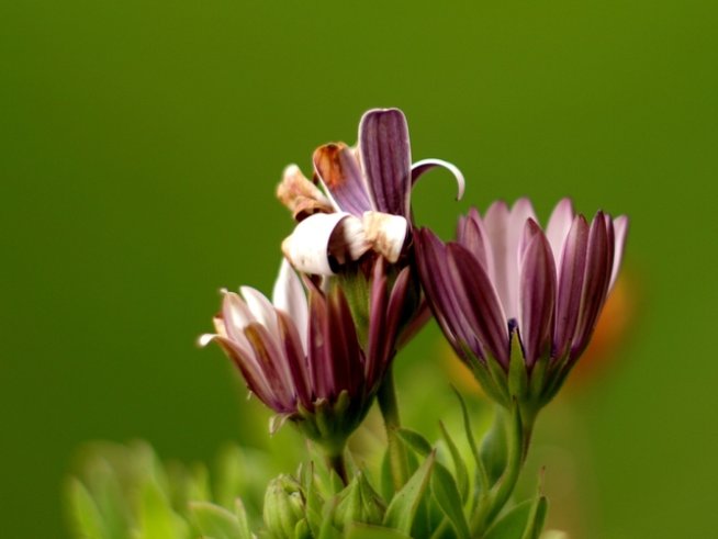 Снимка: Sxc.hu