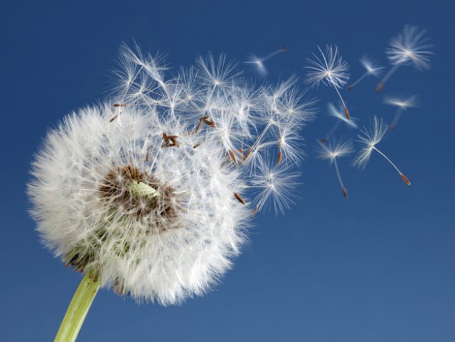 снимка: thinkstock