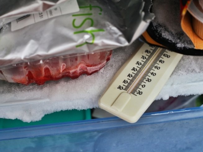 Снимка: iStock