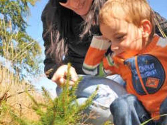 „Зелени Балкани“: Екопротестите не са платени!