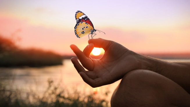 Снимка: iStock